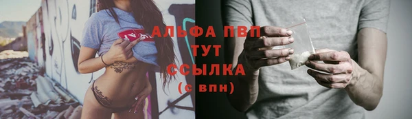 индика Зеленокумск