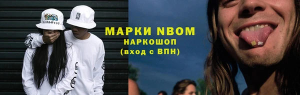 индика Зеленокумск