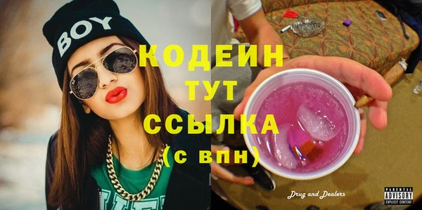амф Елизово