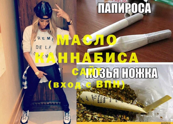 индика Зеленокумск