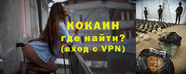 индика Зеленокумск