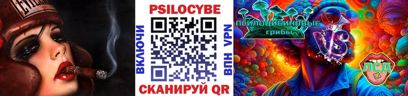Купить закладки  Сергач  Галлюциногенные грибы GOLDEN TEACHER 